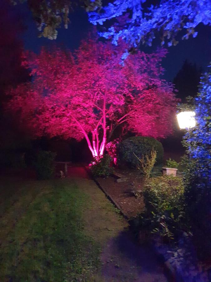 Landhotel Goldener Acker Morsbach  Buitenkant foto